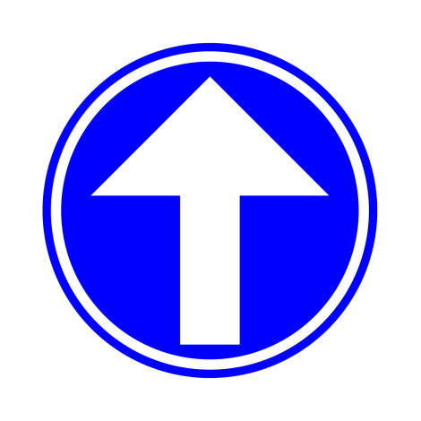 Bord D1 — Verplichte rijrichting rechtdoor